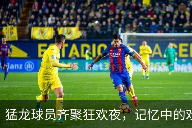 猛龙球员齐聚狂欢夜，记忆中的欢笑声！